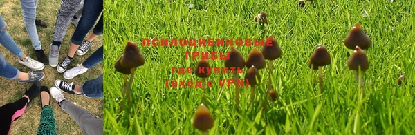 мяу мяу мука Бронницы