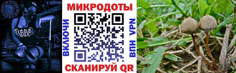 Галлюциногенные грибы Psilocybe  Усинск 